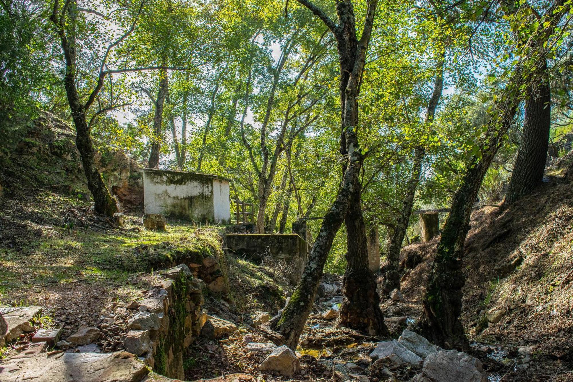 Villamaria, Alma De Despenaperros